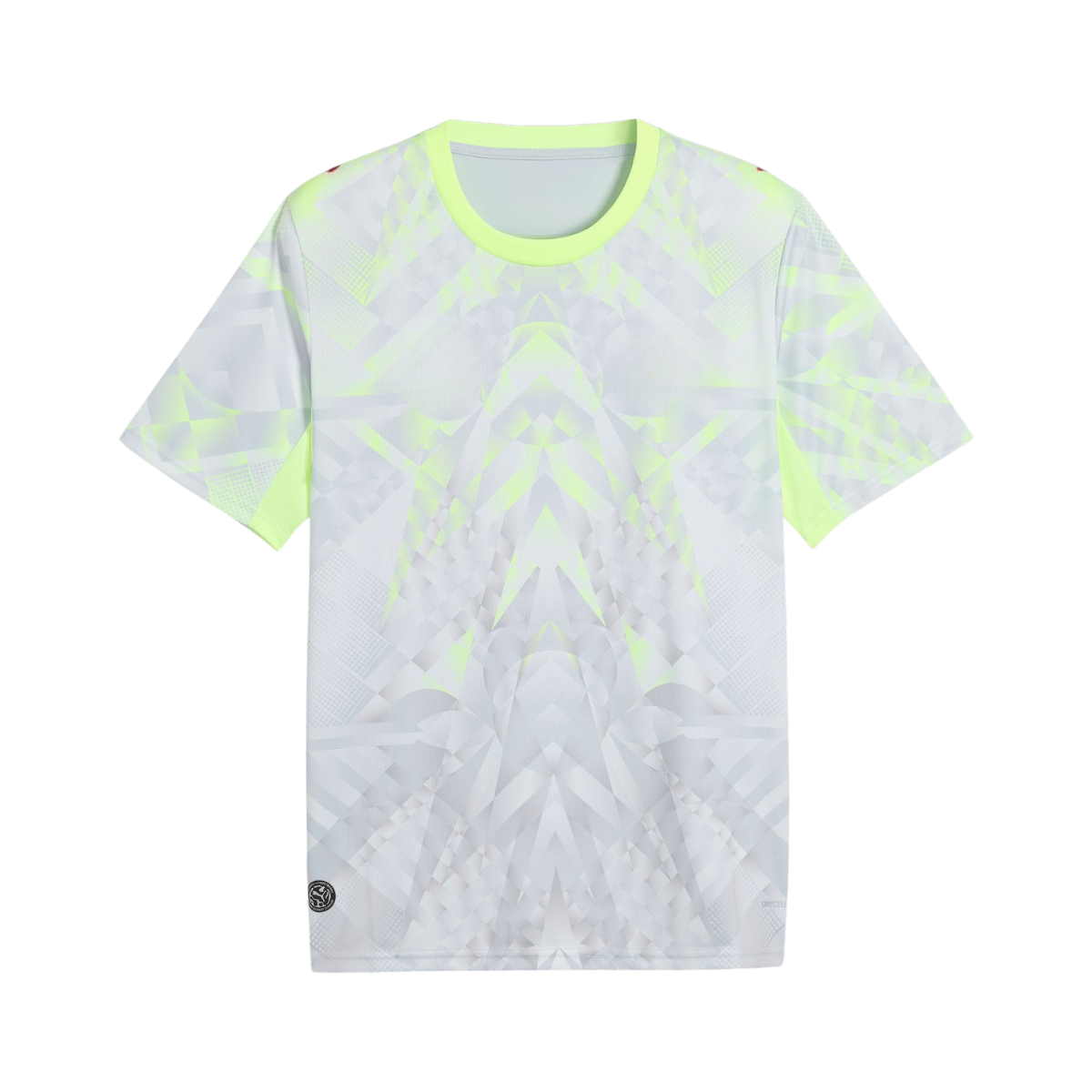 Camisola Guarda Redes Silver 2026